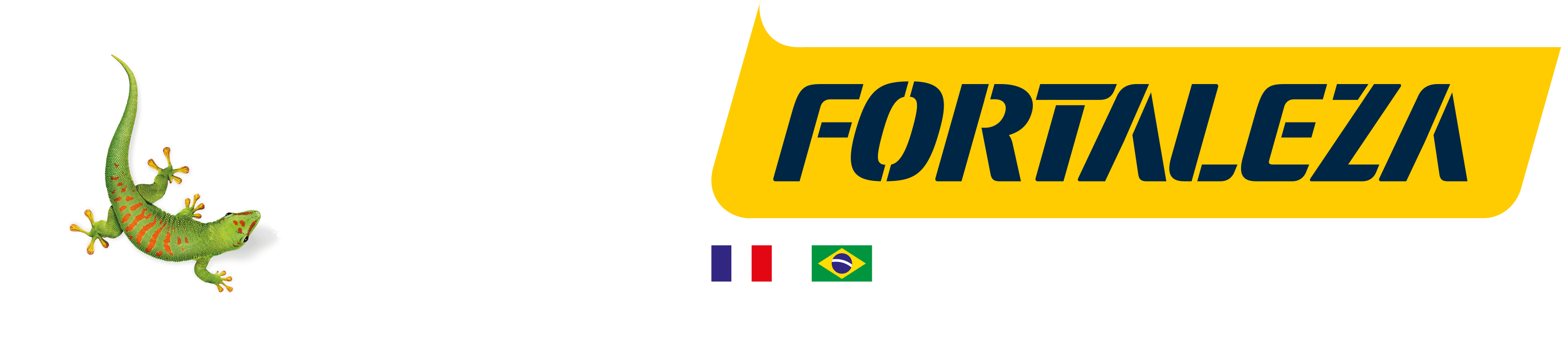 Logo Bostik Fortaleza